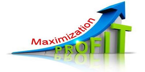 13-maximisation-antonyms-full-list-of-opposite-words-of-maximisation