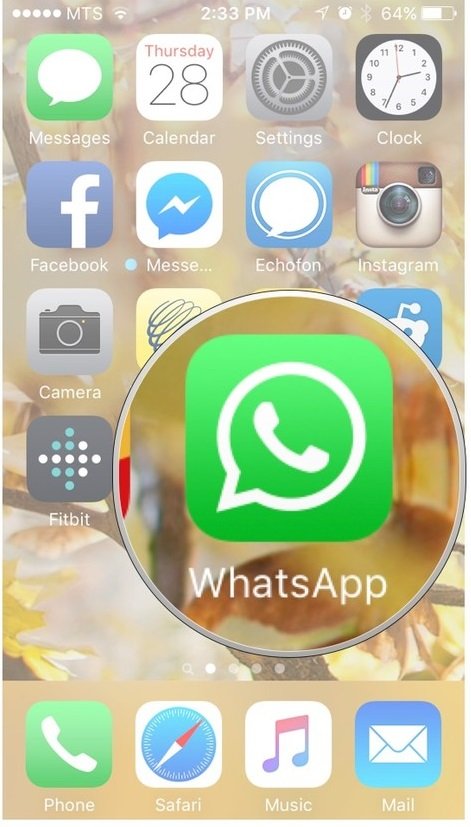 how to check whatsapp login history