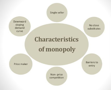 what are the characteristics of a monopoly