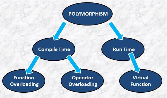 what-does-polymorphism-mean-in-c